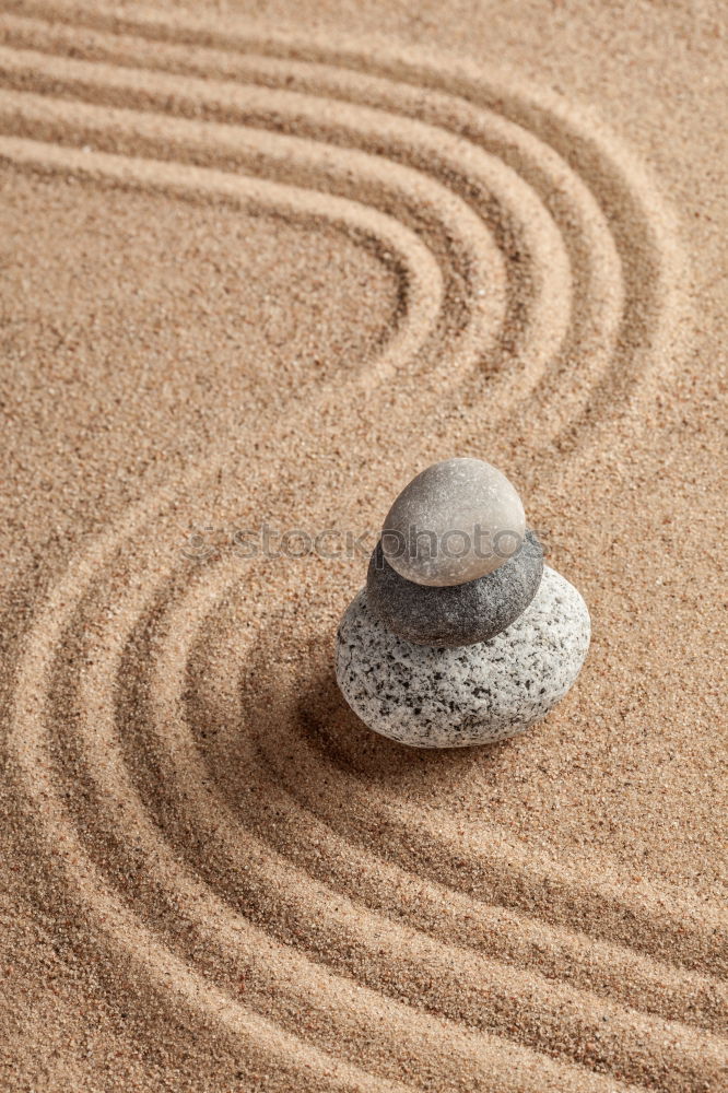 Similar – Image, Stock Photo Umbrella on beach near sea