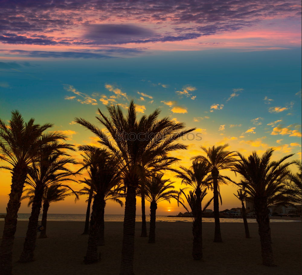 Similar – venice beach Strand