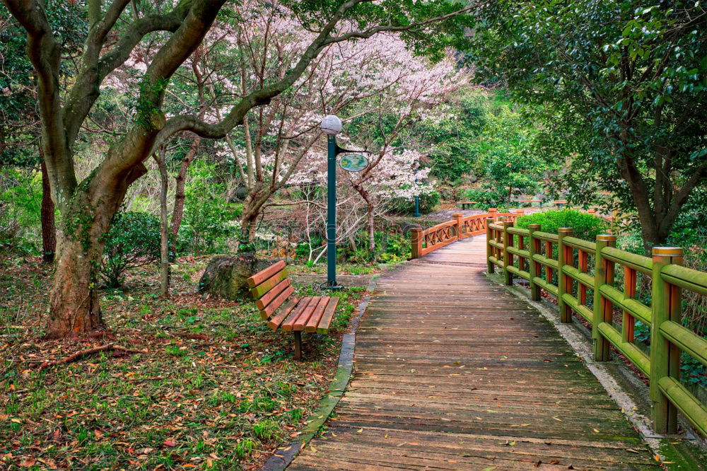 Image, Stock Photo building bridges