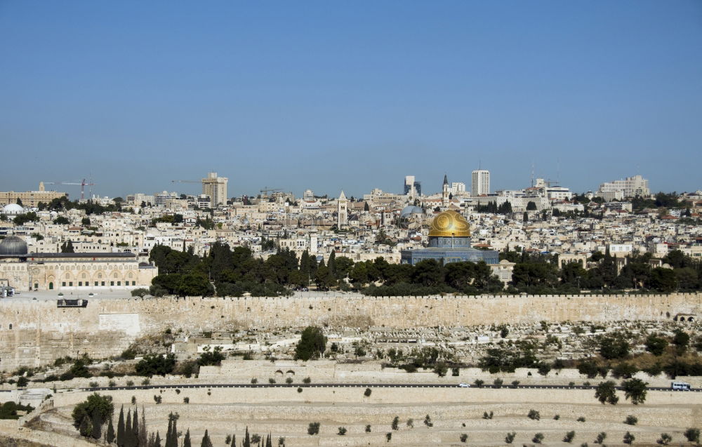 Similar – Image, Stock Photo Dome of the Rock in the Temple District of Jerusalem