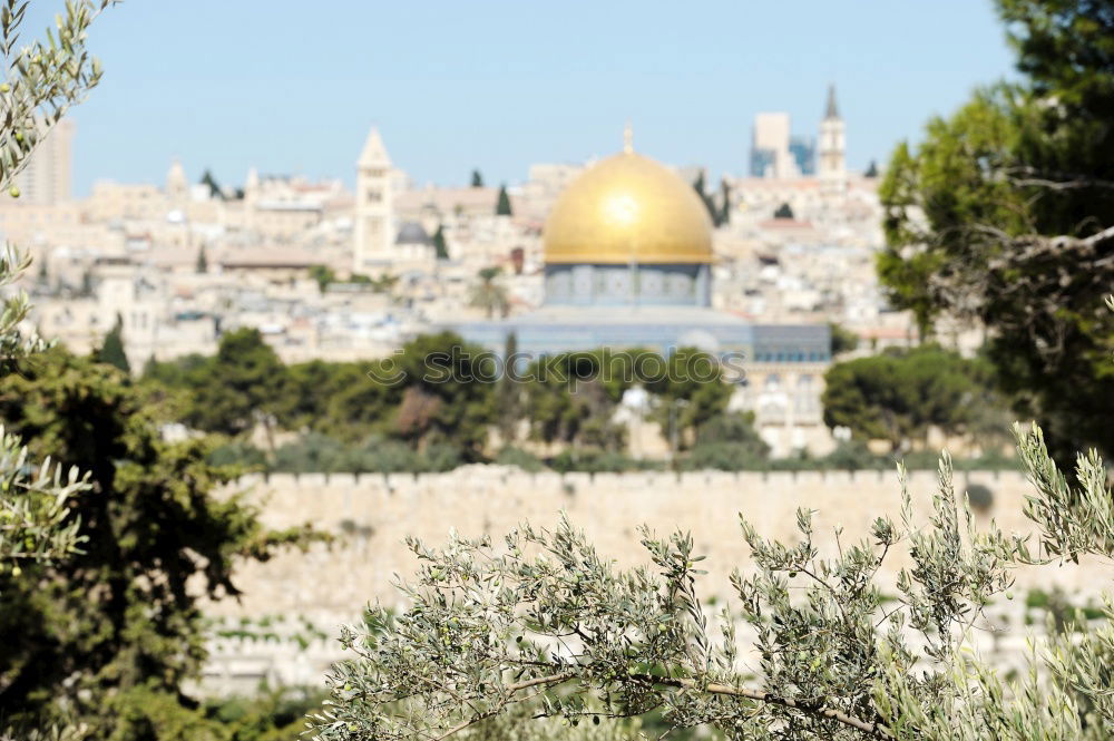 Similar – Image, Stock Photo Dome of the Rock in the Temple District of Jerusalem