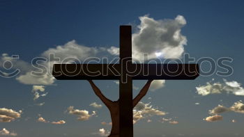 Similar – Image, Stock Photo Mt. Soledad 2 War monument