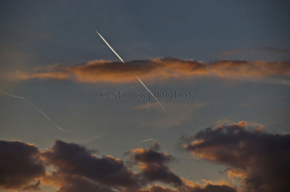 Similar – Moon, sky, tree (detail views)