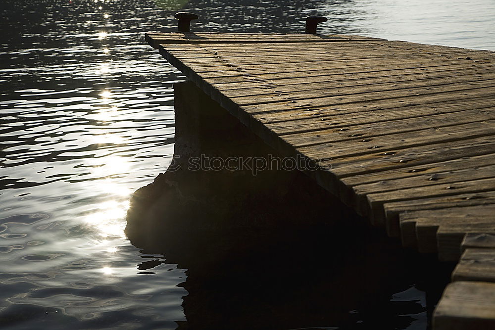 Similar – am See Steg Holz Möwe