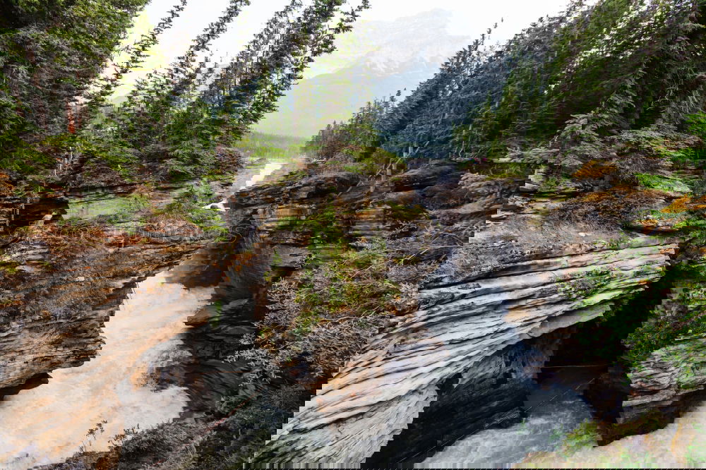 Similar – Image, Stock Photo Yukon Forest Rock