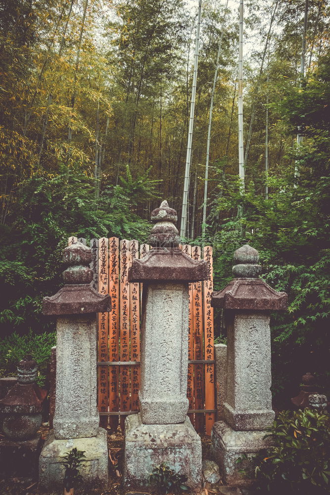 Similar – Image, Stock Photo Red pagoda in forest