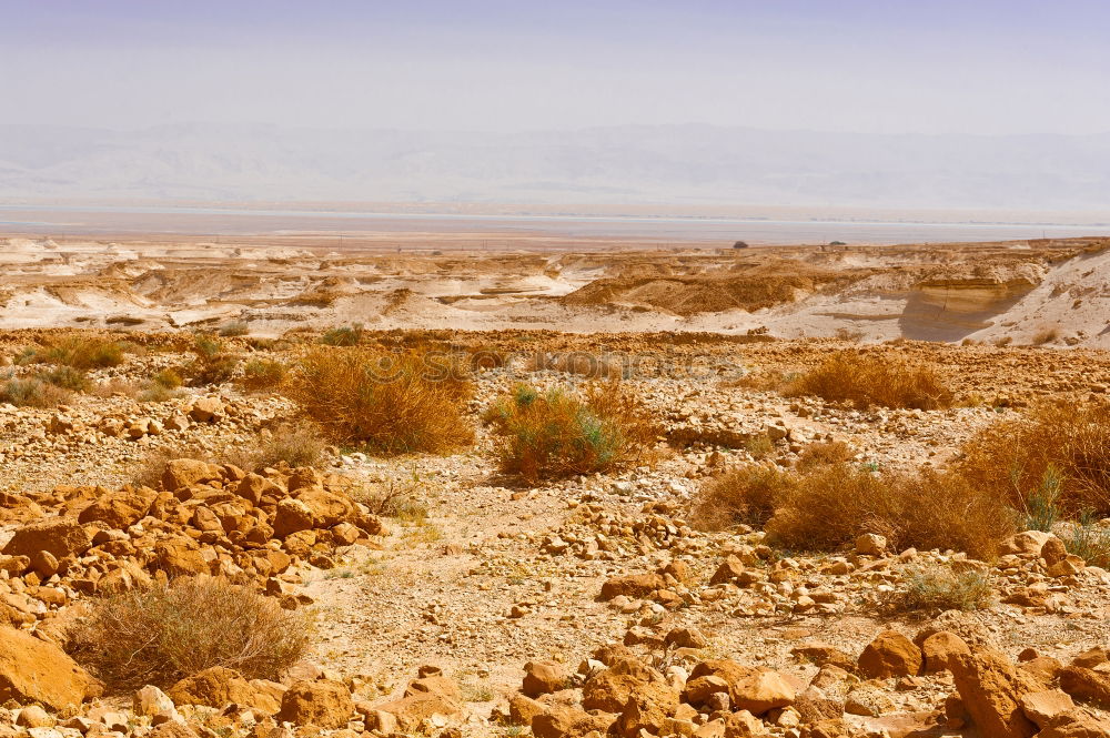 Similar – Image, Stock Photo behind the pyramid Desert