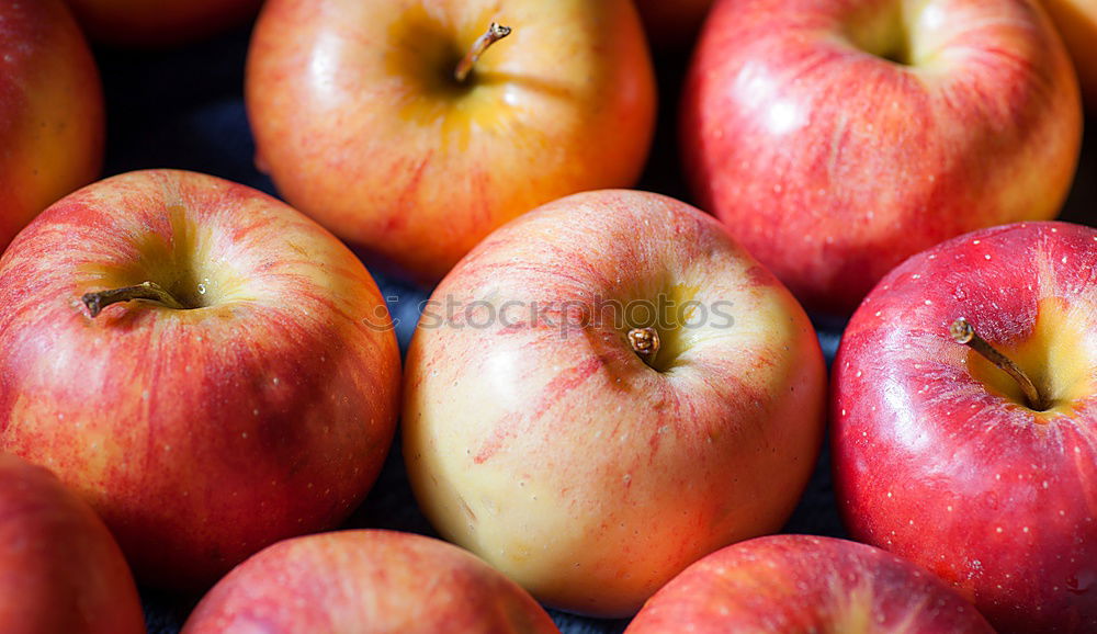 Similar – Image, Stock Photo thanks to good harvest