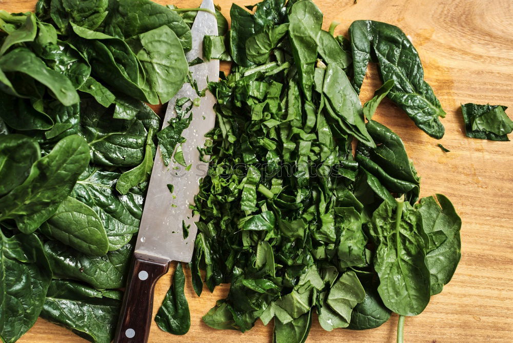 Similar – Image, Stock Photo kale washing winter superfood