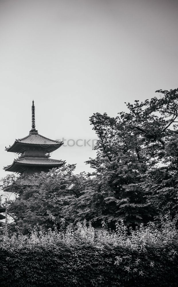 Similar – Image, Stock Photo Beautiful Asian shrine