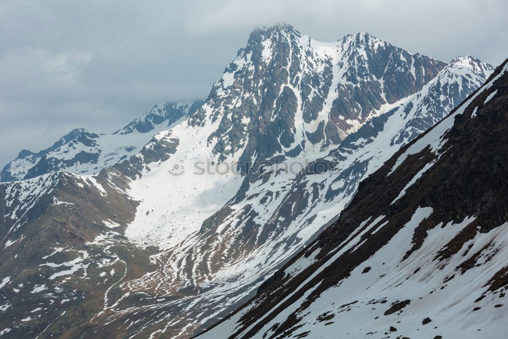 Similar – Foto Bild Frühlingszebra Berghang