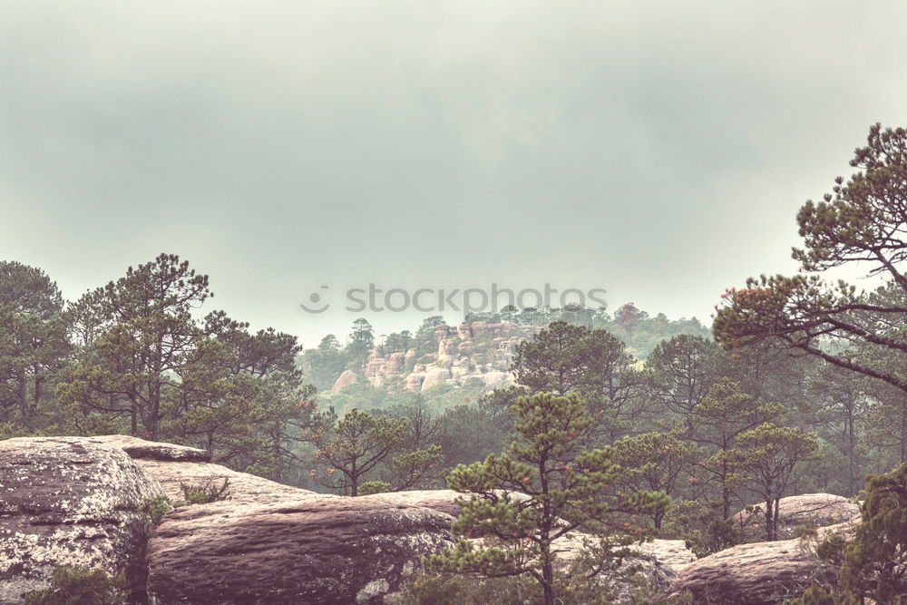 Similar – Image, Stock Photo climbing idyll