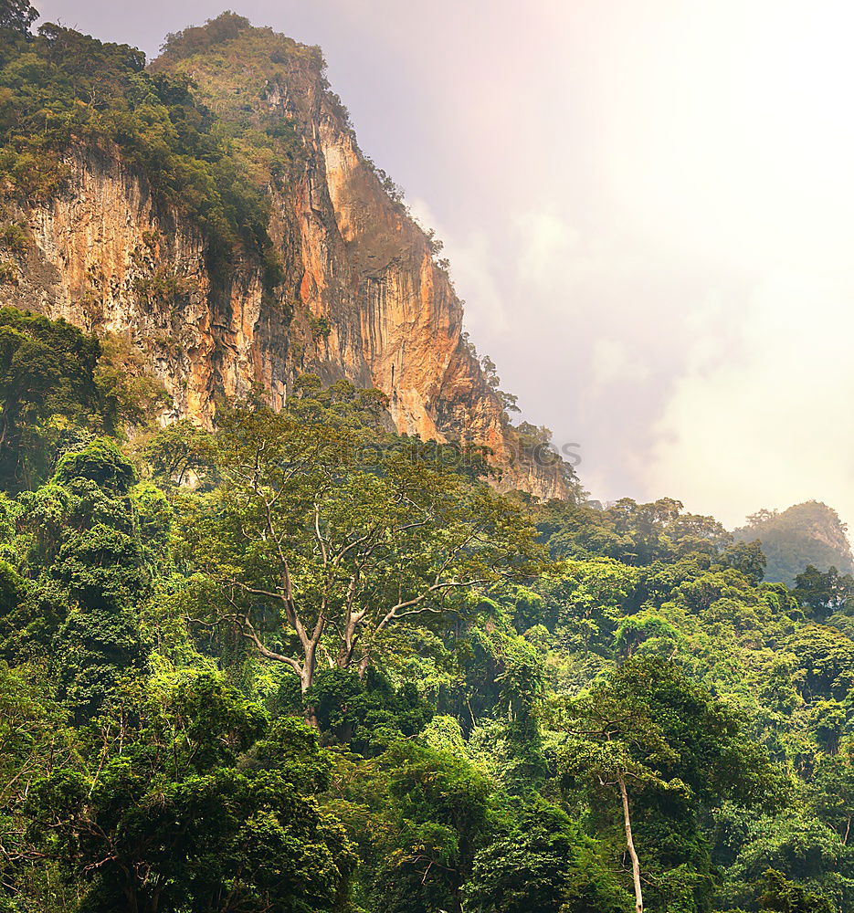 Similar – Image, Stock Photo Landscape Vietnam. River view in the dim light of dusk at Ninhbi