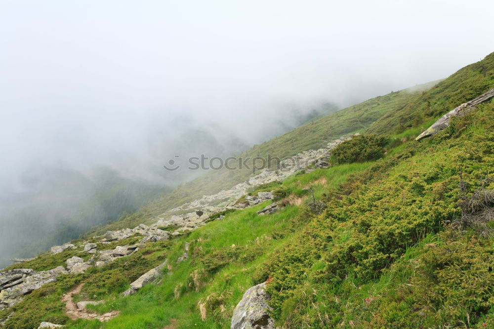 Similar – Mount Venet Mountain