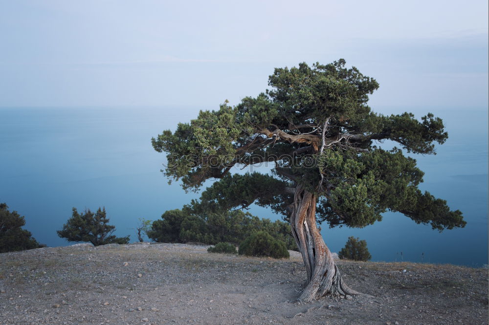 Similar – Meer again Insel Küste