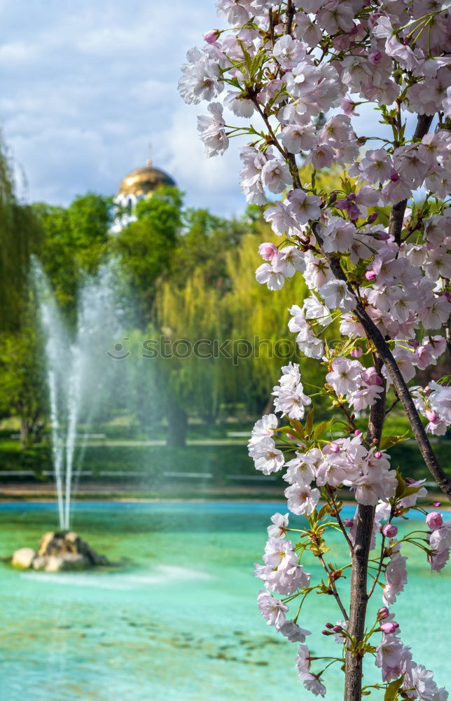 Similar – Image, Stock Photo Stuttgart in spring Nature