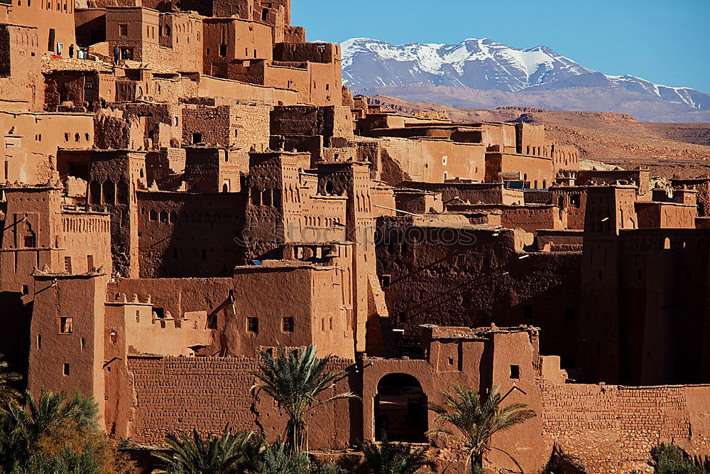 Similar – Image, Stock Photo Oasis Morocco I