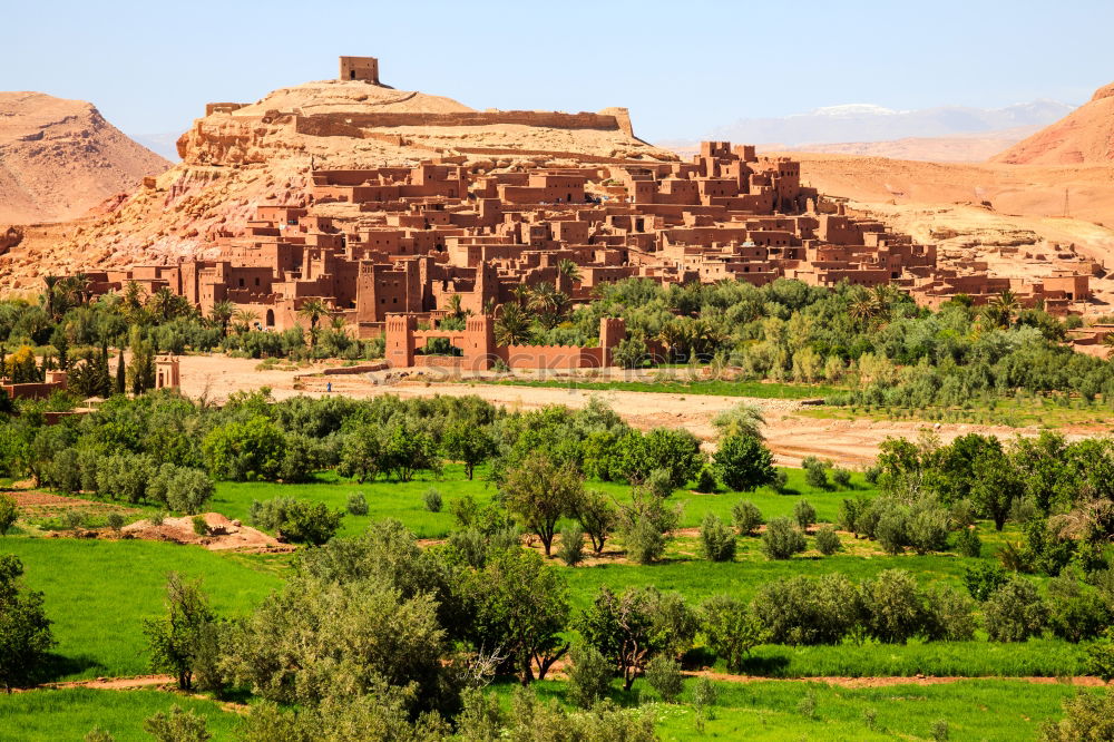 Similar – Oasis Morocco II