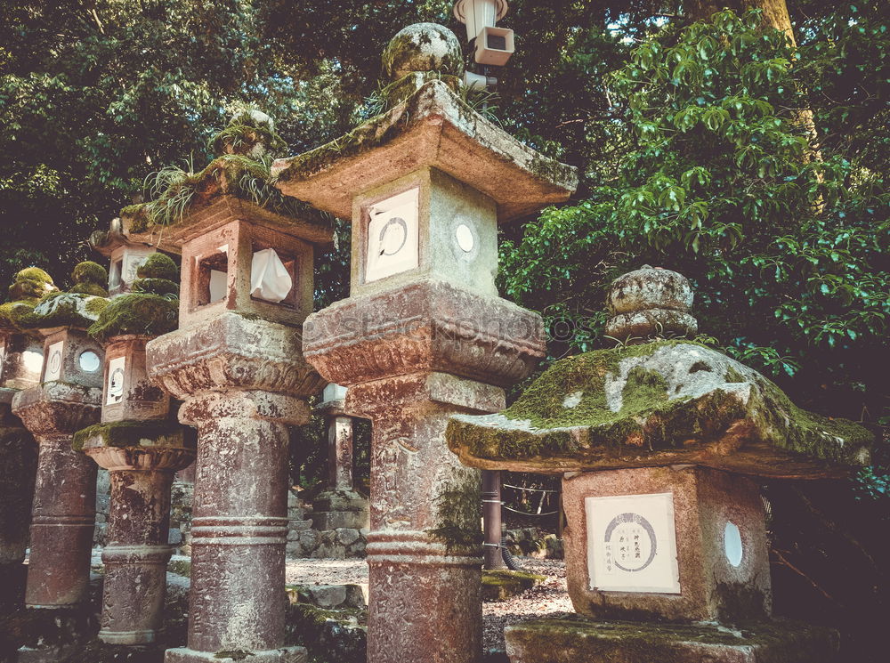 Similar – Image, Stock Photo Wat Pha Lat Temple Chiang Mai