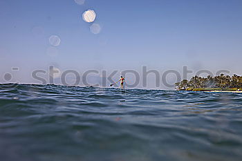 Foto Bild shark attack Meer Strand