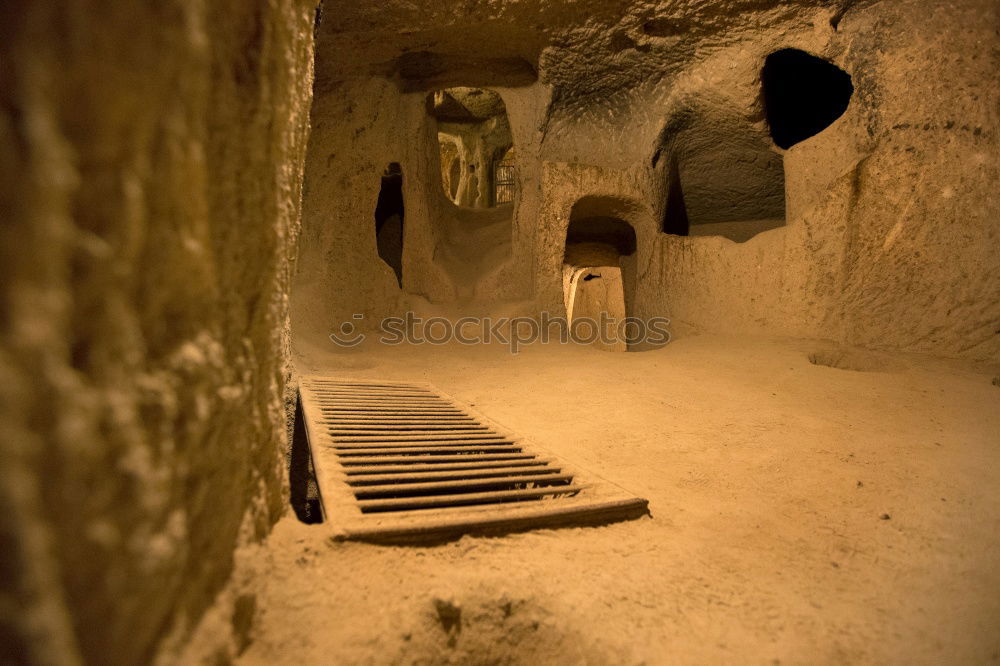 Creepy cellar Cellar