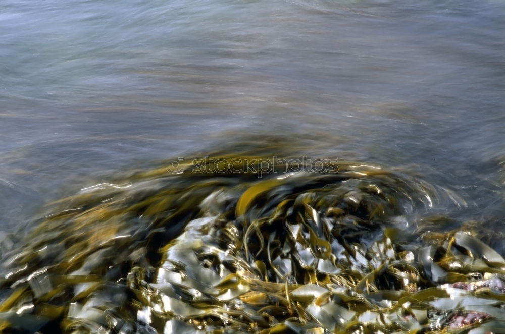 Similar – watercloseup Wasser