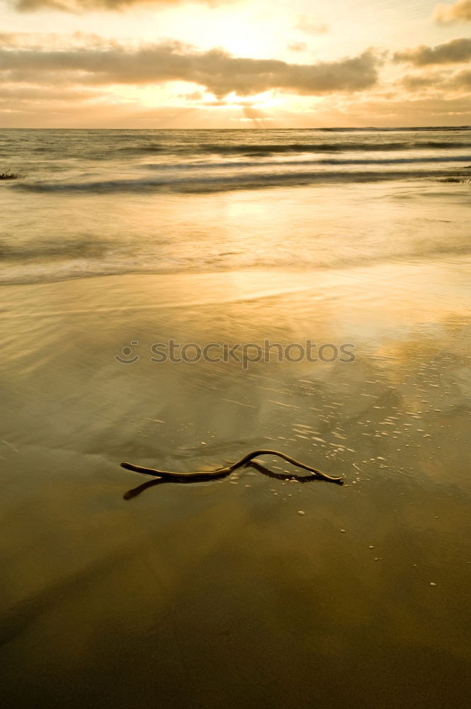 Image, Stock Photo Beach 6 Sunset Lake Nature