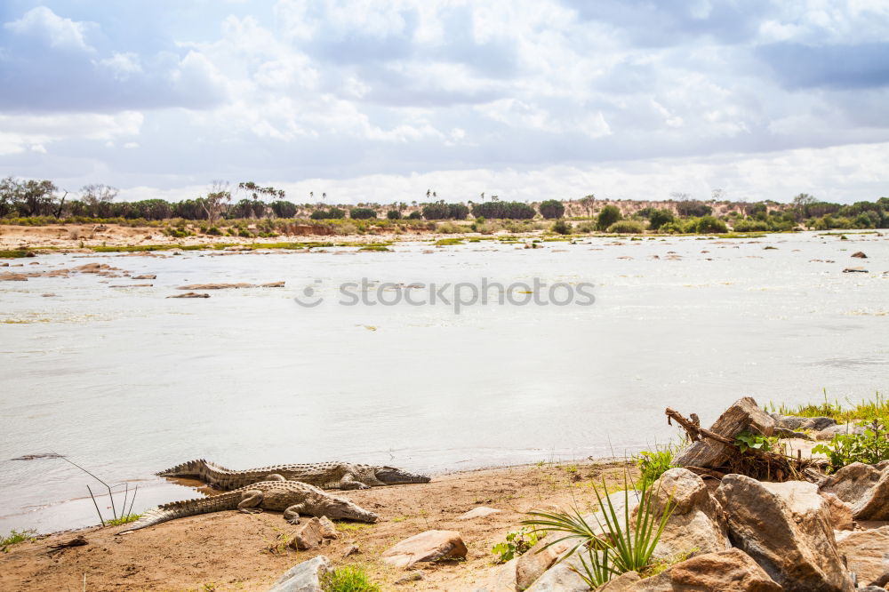 Similar – Image, Stock Photo A little water….