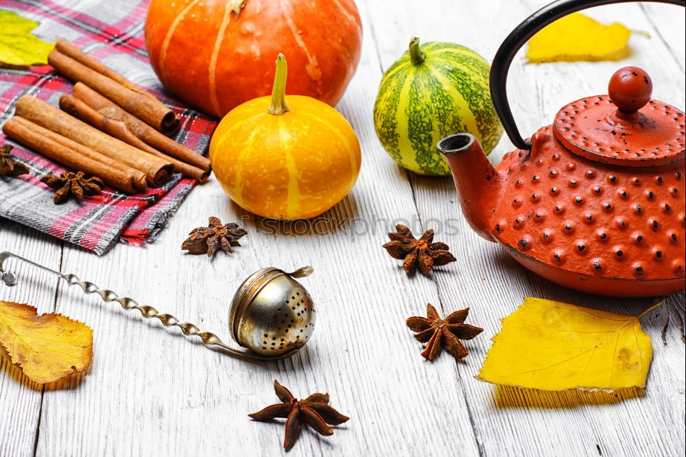 Similar – Image, Stock Photo Autumn harvest pumpkin