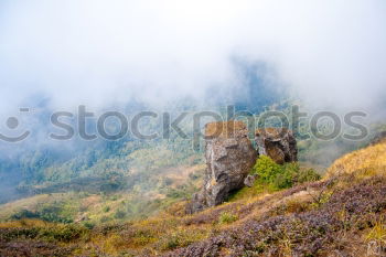 Similar – Image, Stock Photo Landscape view on green hills in fog at sunset