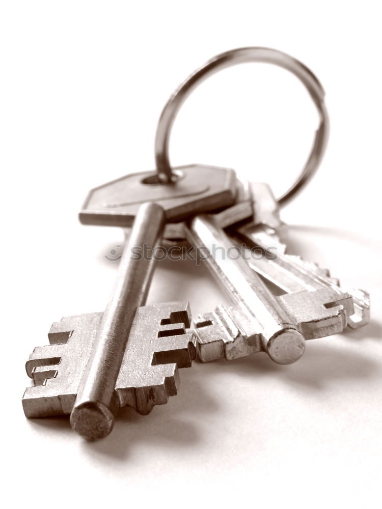 Similar – Image, Stock Photo bunch of keys