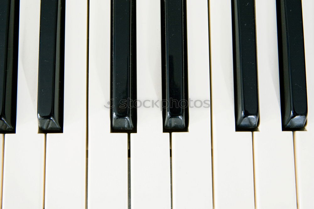 Similar – Image, Stock Photo mon piano Keyboard Piano