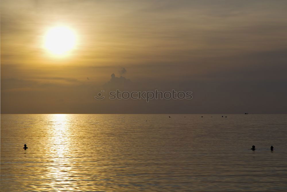 Similar – summer evening Sunset Lake