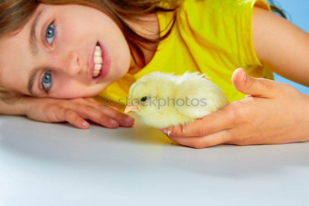 Similar – Image, Stock Photo Little girl looking a goat on the grass