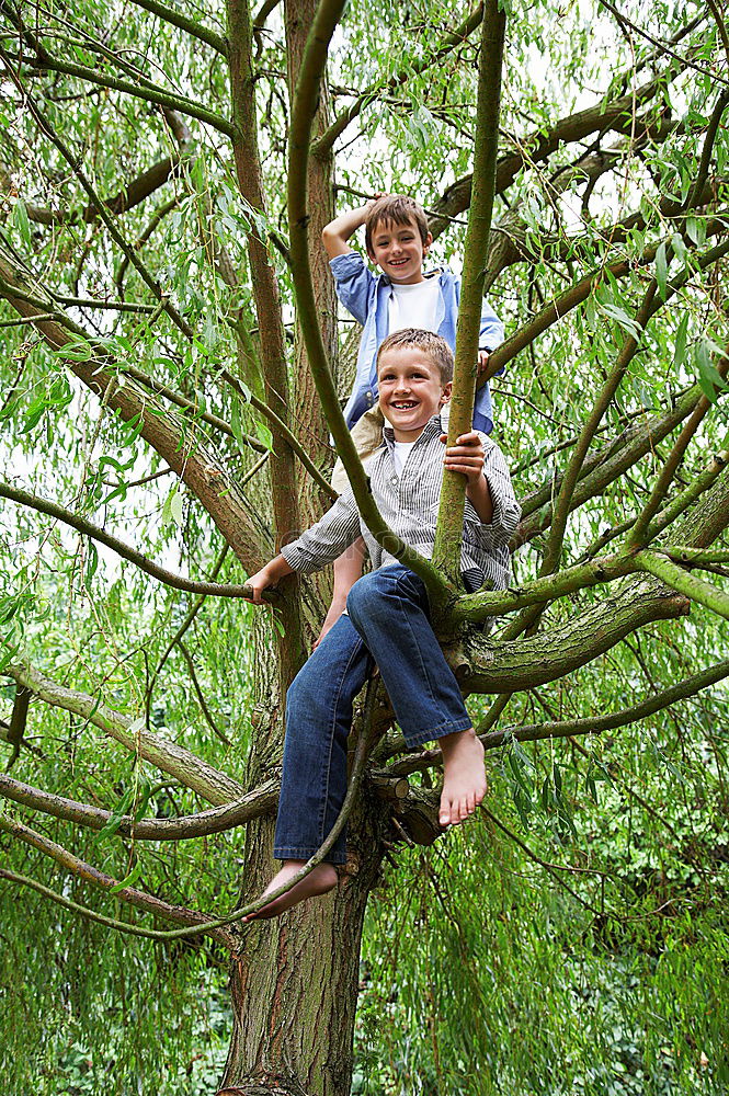 Similar – Foto Bild ich komme auch … Baum