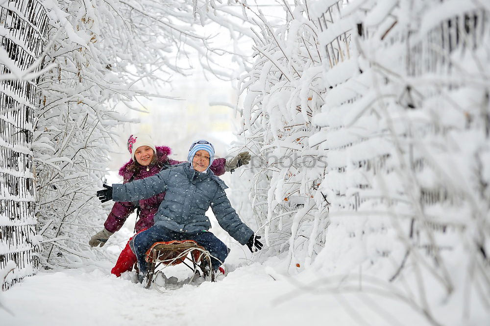 Similar – rotkappe packt aus Winter