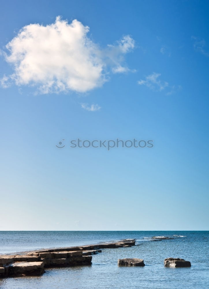 Similar – Image, Stock Photo Coastal forest at the Baltic Sea near Nienhagen