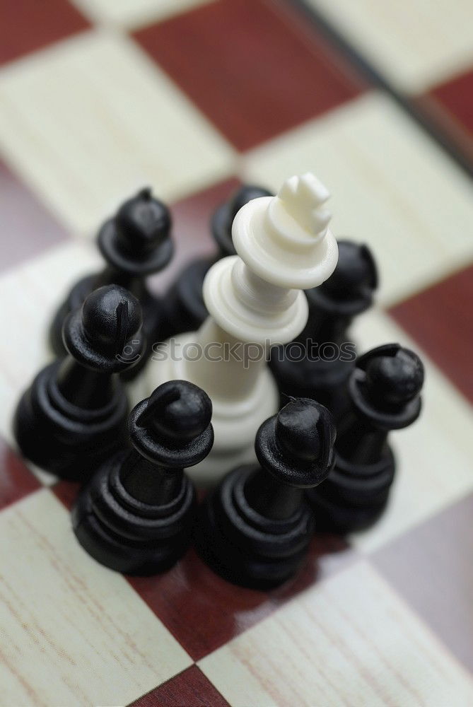 Similar – chess Board game Horse