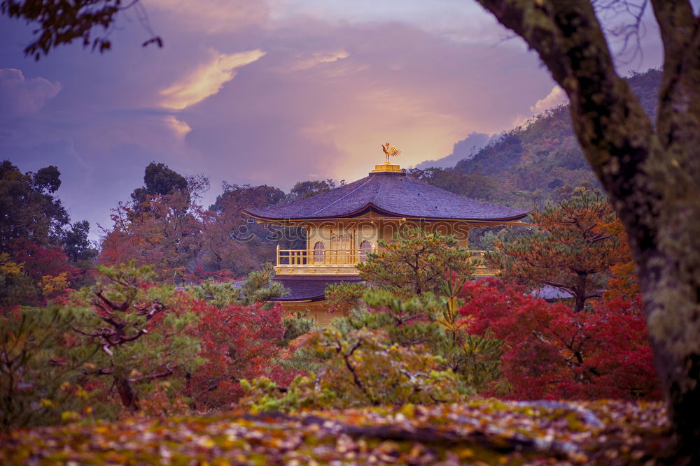 Similar – Image, Stock Photo Kiyomizu-dera Exotic