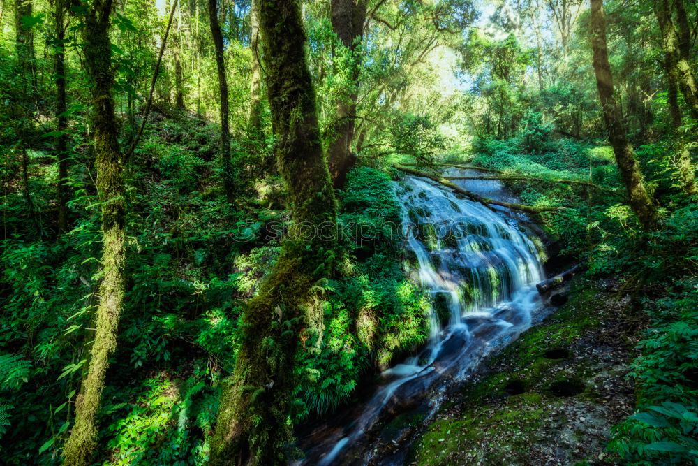 Similar – Image, Stock Photo The stony paths Hiking