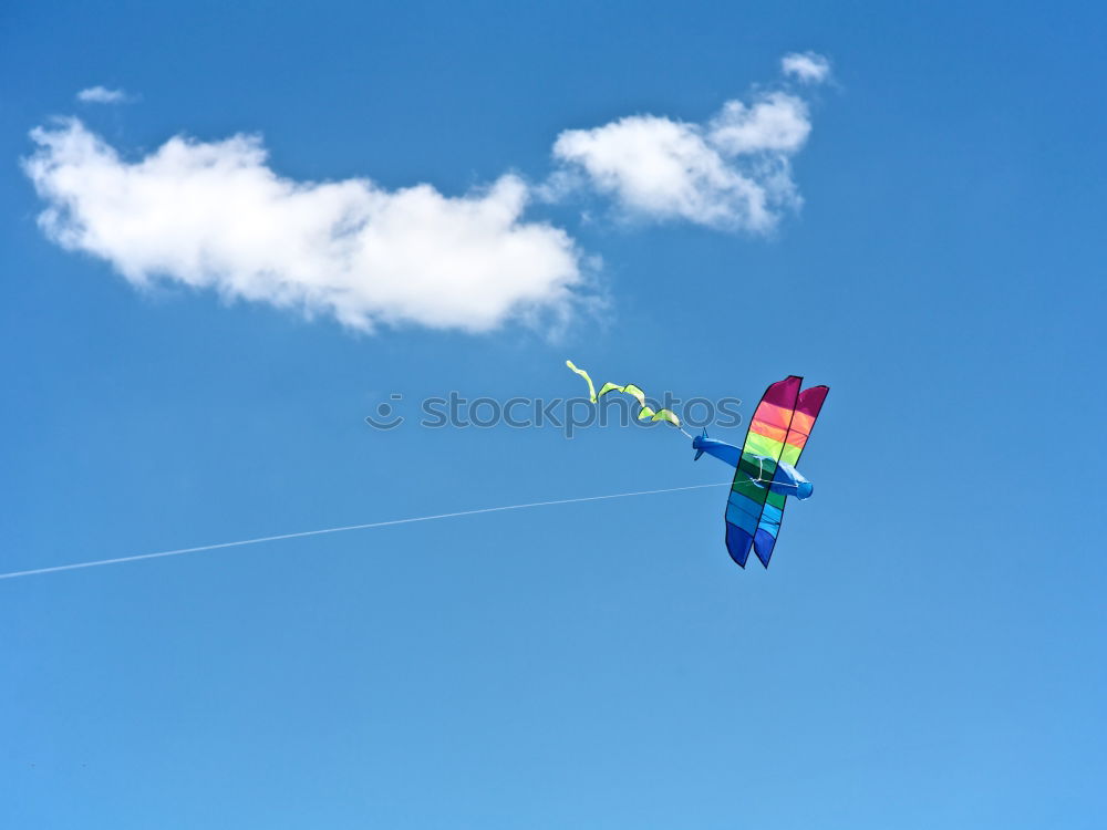 Similar – Red & Blue Sky Leaf