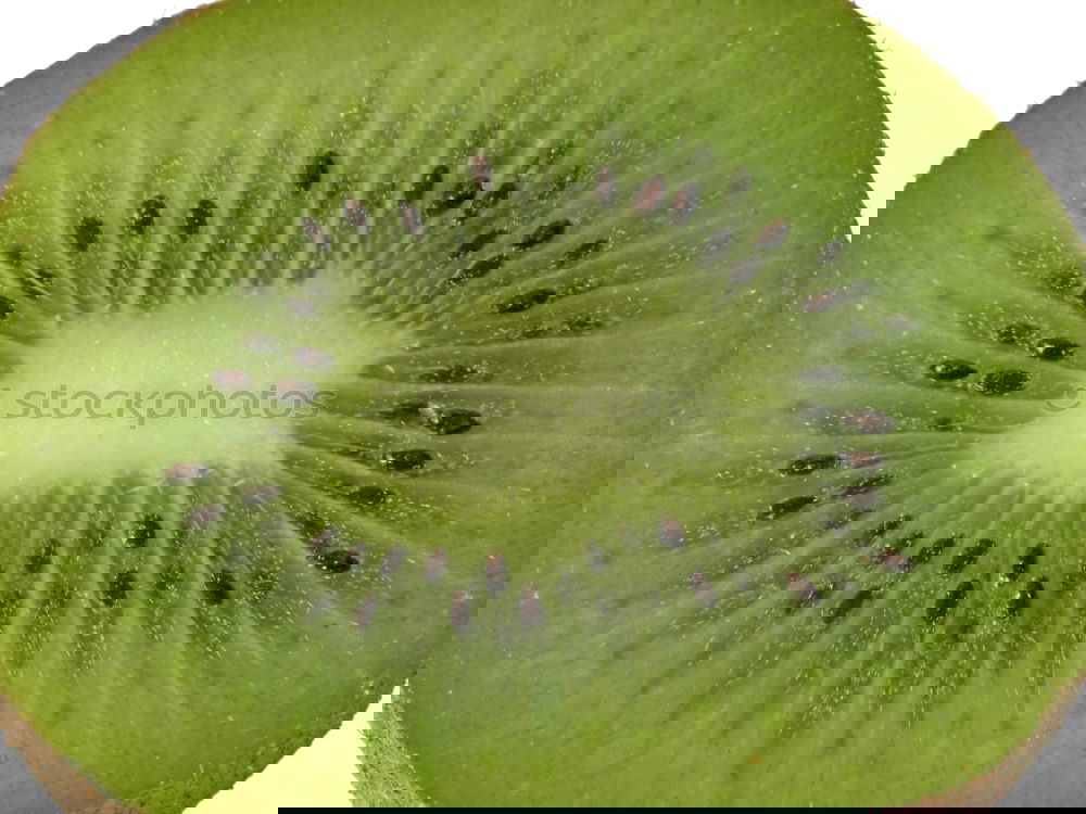 Similar – Image, Stock Photo kiwi Zack! Art Work of art