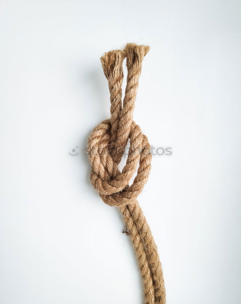 Similar – Foto Bild KNOTEN