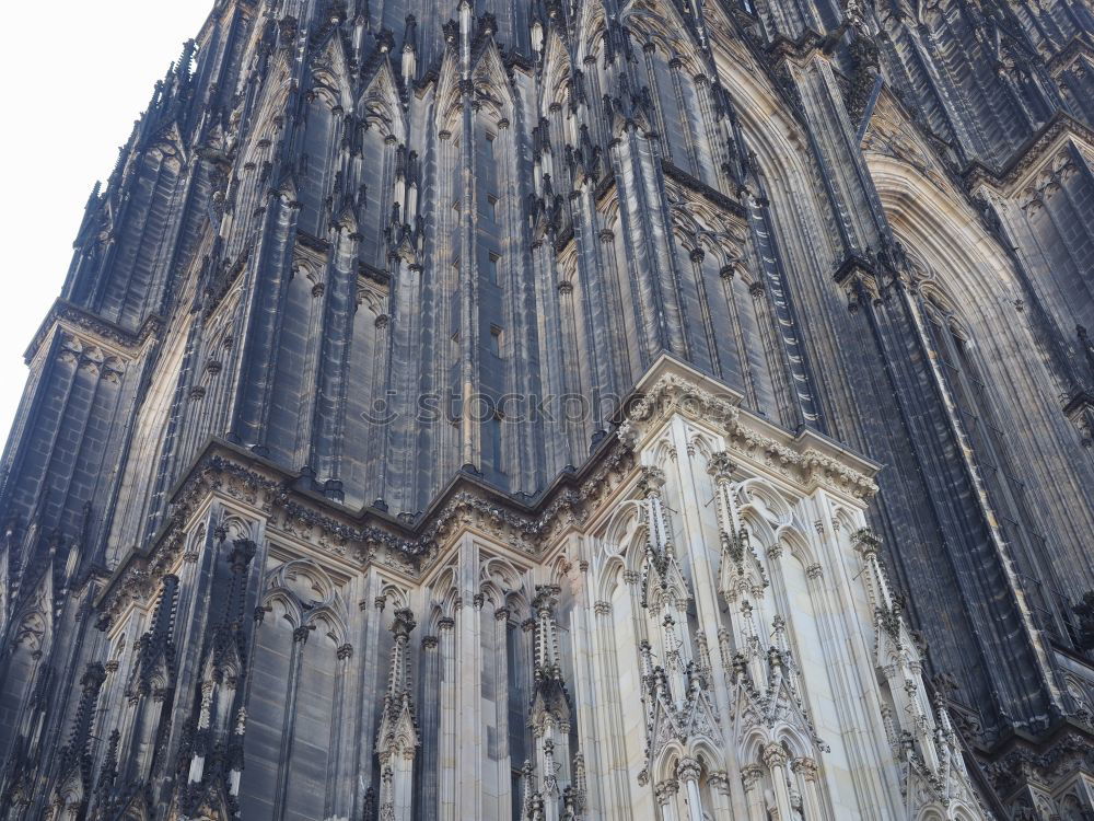 jecken monument Cologne