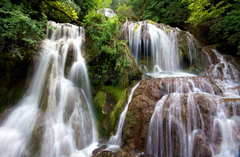 Similar – YS Waterfall Jamaica