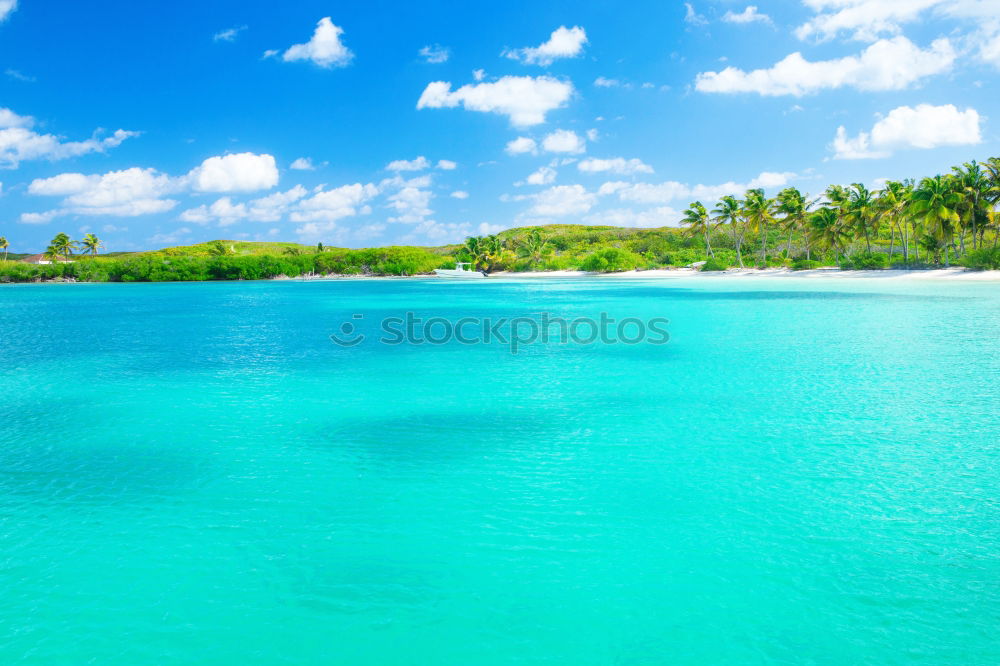 Similar – Palms on the beach of Isla Saona