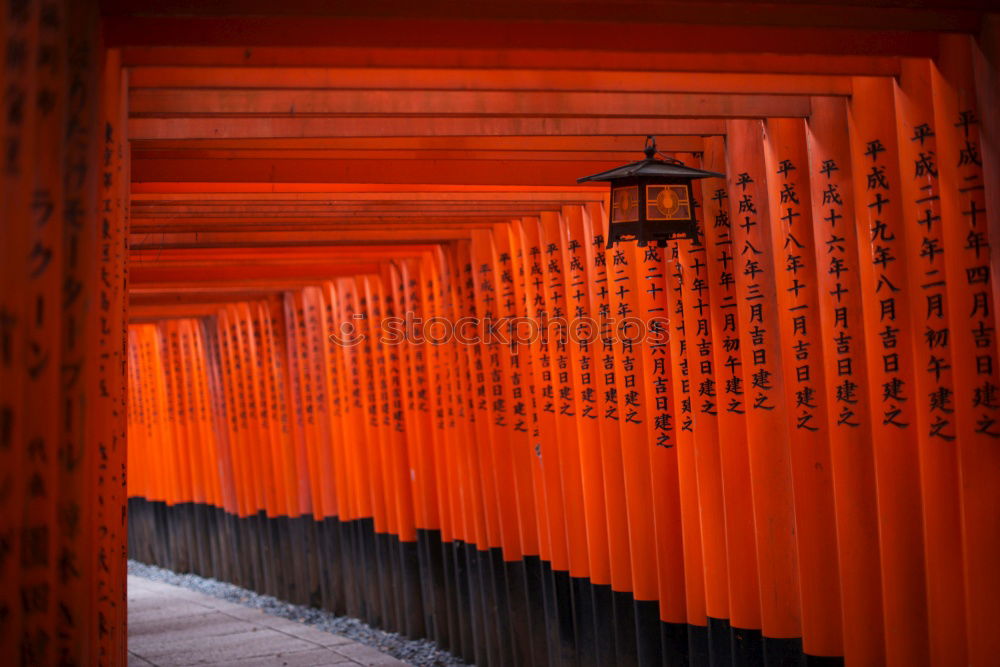 Similar – Image, Stock Photo Fushimi-Inari Shrine Kyoto