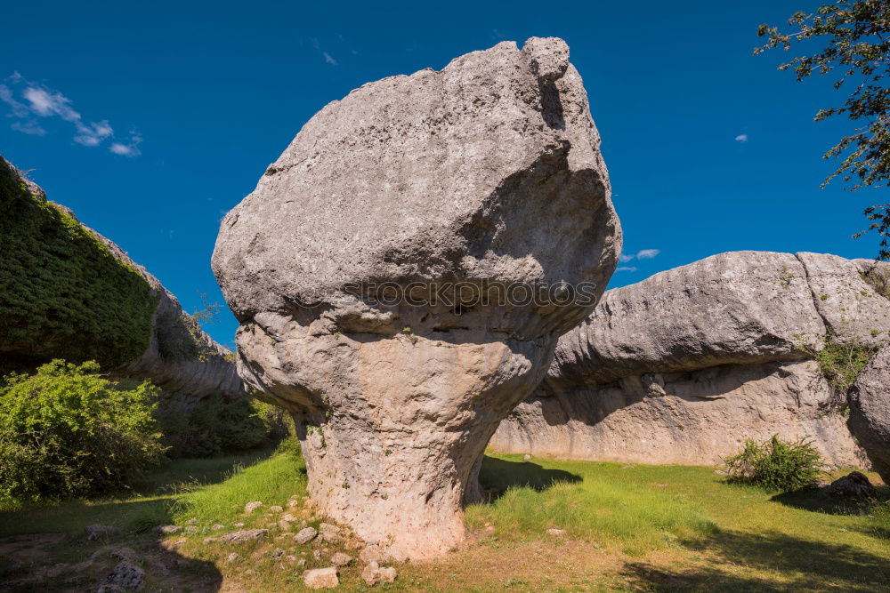 Similar – Image, Stock Photo Giant! Environment Nature