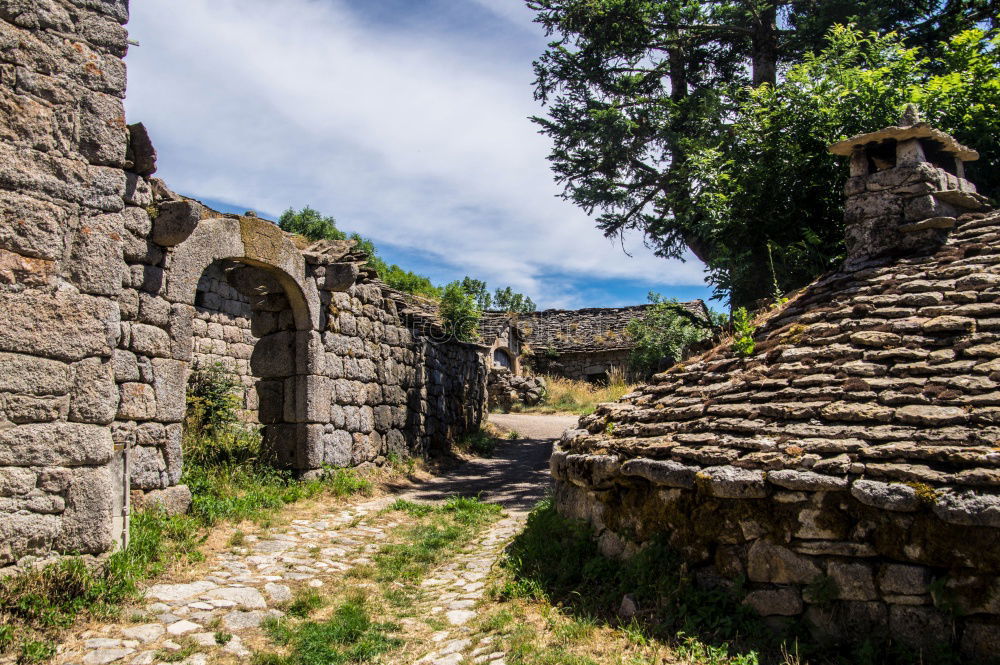 Similar – Image, Stock Photo Ingrown ruin in Old Perithia