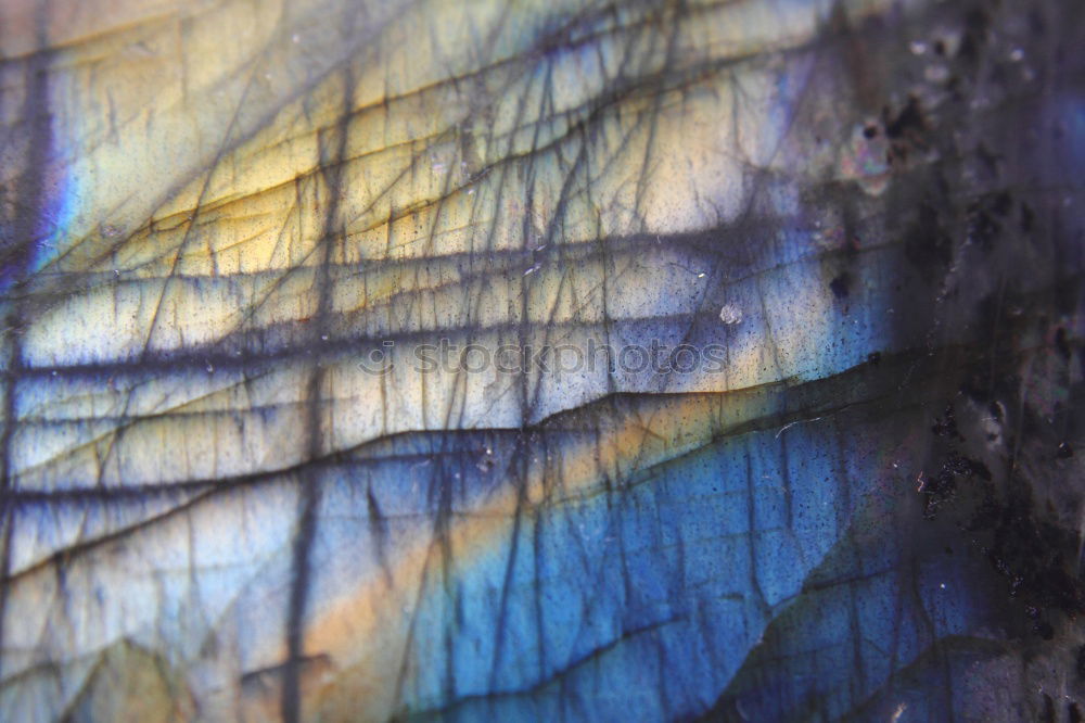 Similar – Image, Stock Photo Leafless branches in autumn rain